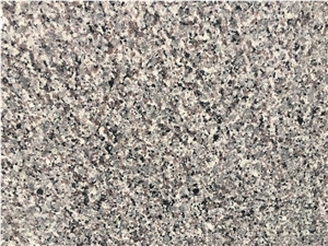 Grey Star / China High Quality Granite Tiles & Slabs