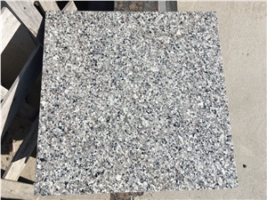 Grey Star / China High Quality Granite Tiles & Slabs