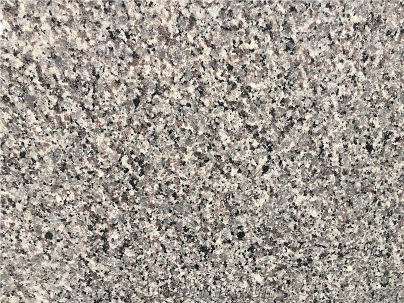 Grey Star Granite Polished Tiles&Slabs
