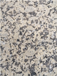 Polished Rhrysanthemum Yellow Granite Tiles&Slabs Granite Flooring