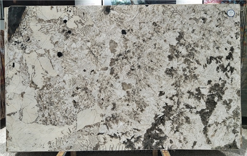 Splendor White Quartzite Polished Tiles&Slabs for Countertop