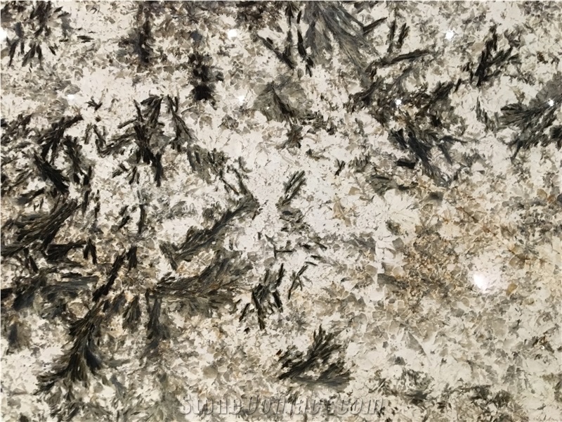 Splendor White Quartzite Slabs&Tiles Quartzite Floor&Wall Covering