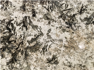 Splendor White Quartzite Slabs&Tiles Quartzite Floor&Wall Covering