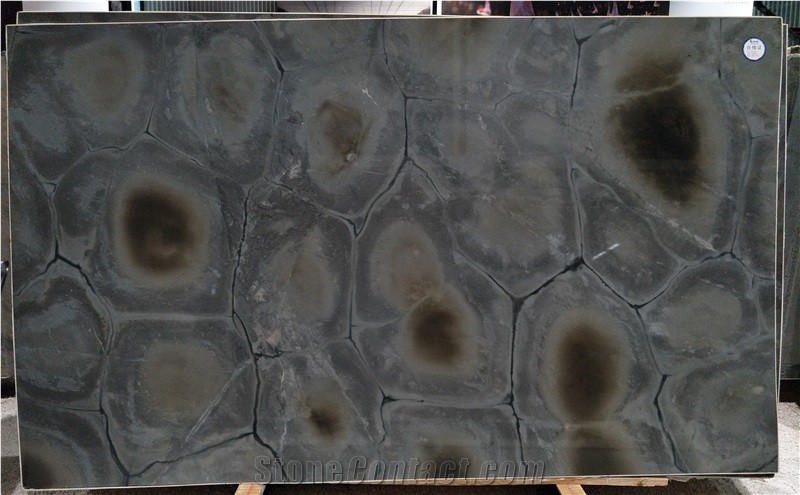 Turtle Illusion Quartzite Slabs&Tiles Quartizte Floor&Wall Covering