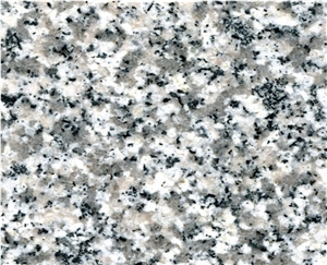 China G623 White Granite Tiles