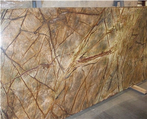 Rainforest Brown Marble Slabs and Wall Tile Price