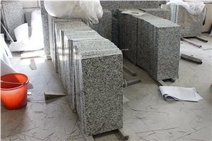 China Cheap Granite Swan Grey Commercial Counters