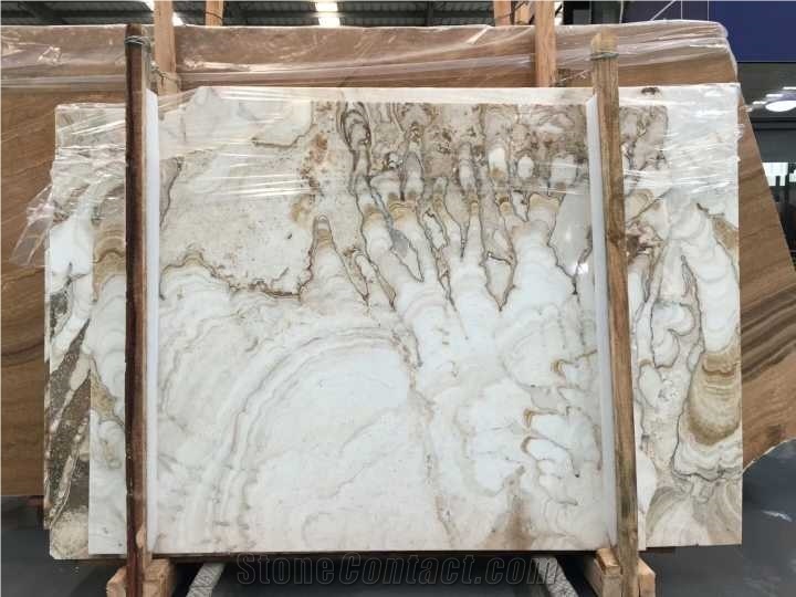 Brazil Chocolate Marble Slabs Wall Tiles Kitchen