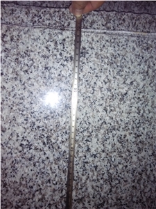 G658 Granite Slabs Tiles Skirting Flooring Wall