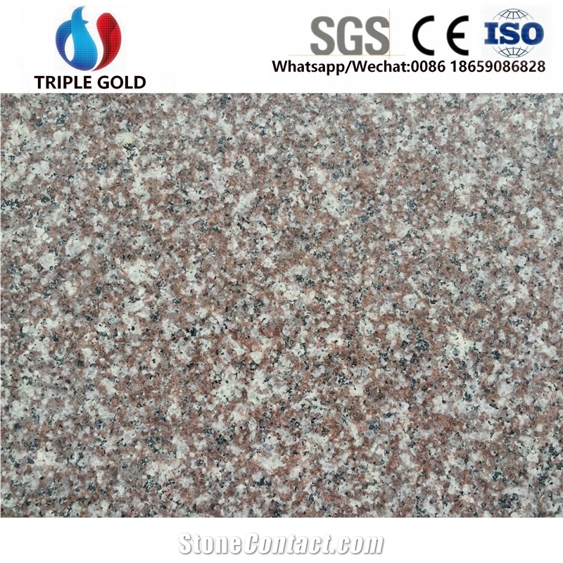 China G664 Chinese Rosa Pink Granite Slabs Tiles