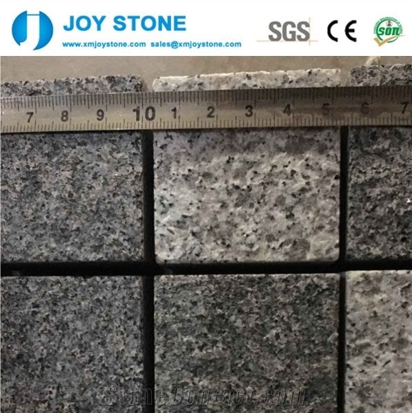 Paving Stone G654 G603 Starry Style Square Pattern