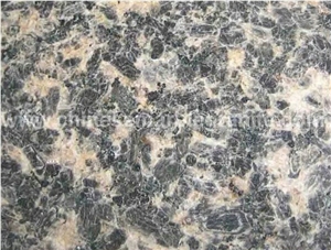 Versatile Leopard Skin Grey Granite Slabs, Tiles