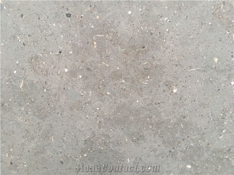 Midnight Fossil Limestone Grey Slab Tiles