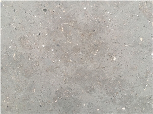 Midnight Fossil Limestone Grey Slab Tiles