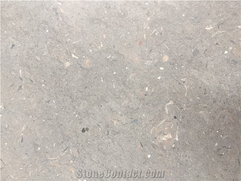 Midnight Fossil Limestone Slab Tiles Grey