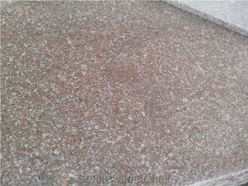 G648 Granite Slabs, Polished Tiles