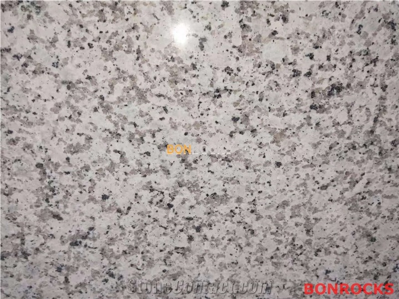 Bala White Granite Polished Slab