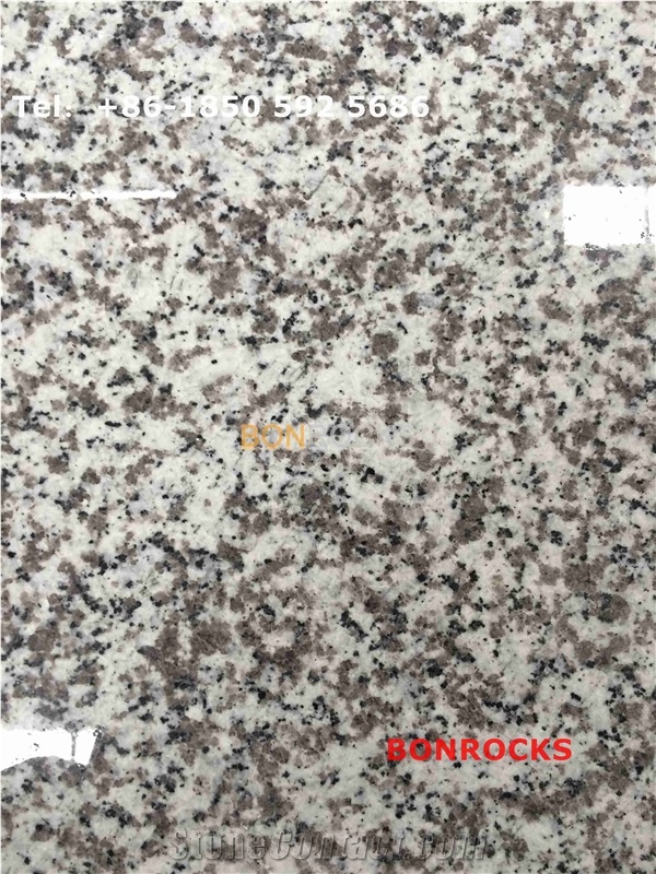 China Bianco Sardo Grey Granite G439 Countertops