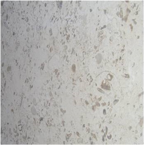Fossil Cream Limestone Tiles