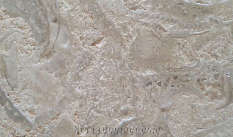 Fossil Beige Limestone Tiles