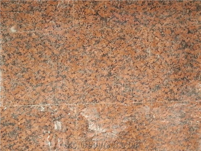 China Leaf Maple Red G562 Granite ,Cenxi Red