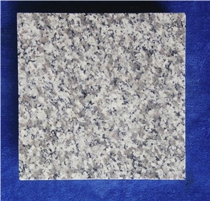 Chinese G623 Haicang White Granite Tiles for Floor