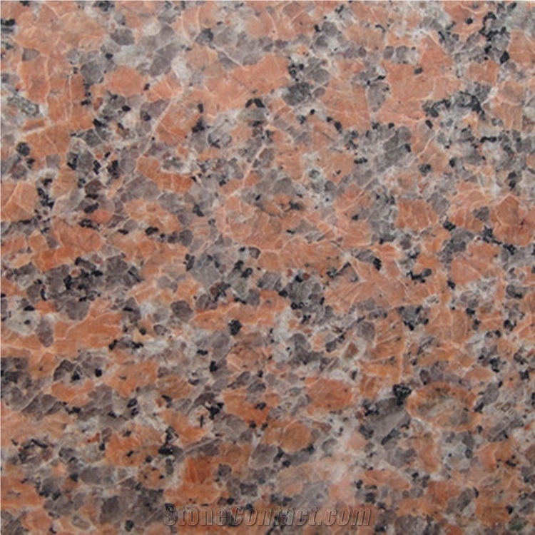 Chinese Red G562 Granite Tiles for Floor and Wall