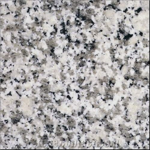 Saudi Bianco Cristal White Granite Tile&Countertop
