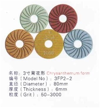 Chrysanthemum Form