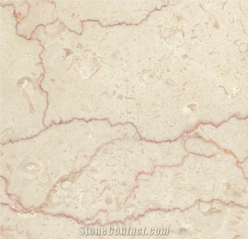Shell Beige Red Veins marble Slabs and Floor Design