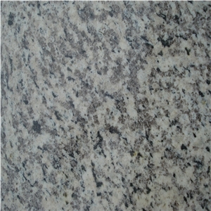 Tiger Skin White Granite Floor Tiles