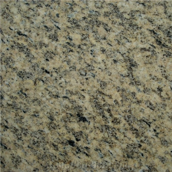 Yellow Tiger Skin Granite Slabs and Tiles