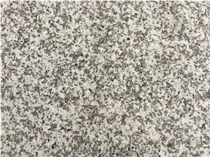 G439 China Granite Tiles & Slabs