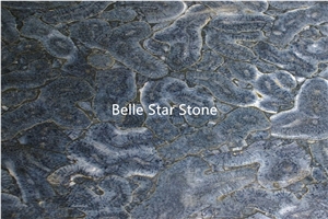 Blue Coral Semi Precious Luxury Stone Slabs Tiles