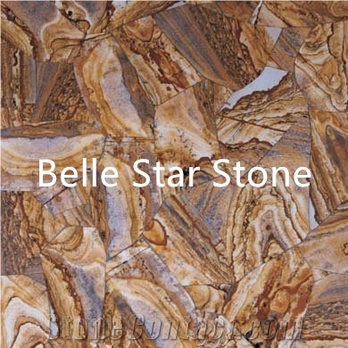 Figure Fossil Semi Precious Luxury Stone Slabs