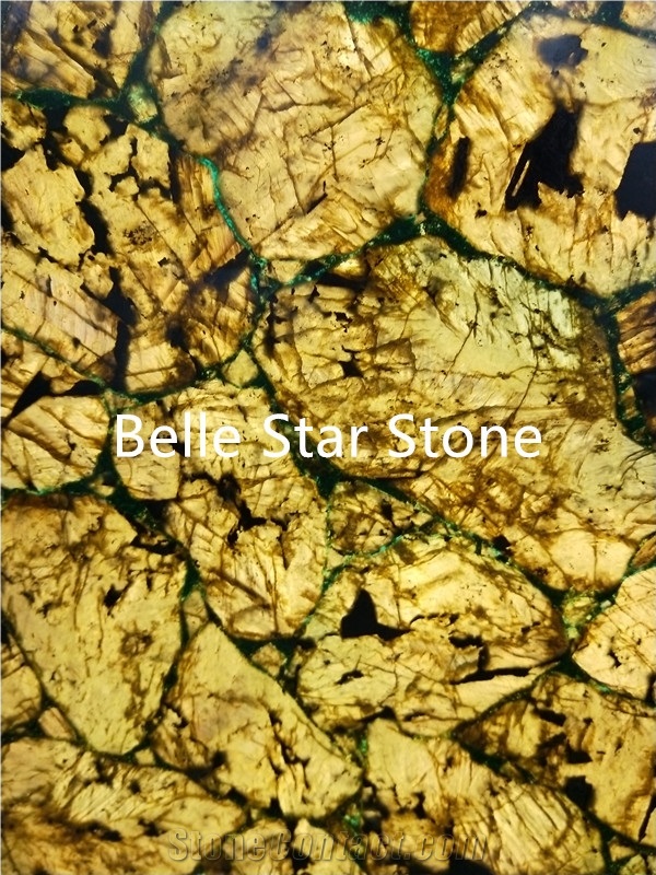 Figure Fossil Semi Precious Luxury Stone Slabs