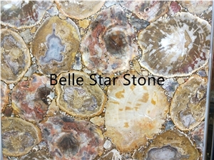 Septarium Semi Precious Luxury Stone Slabs Tiles