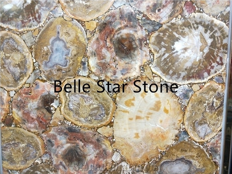 Wood Fossil Backlit Semi Precious Stone Slabs