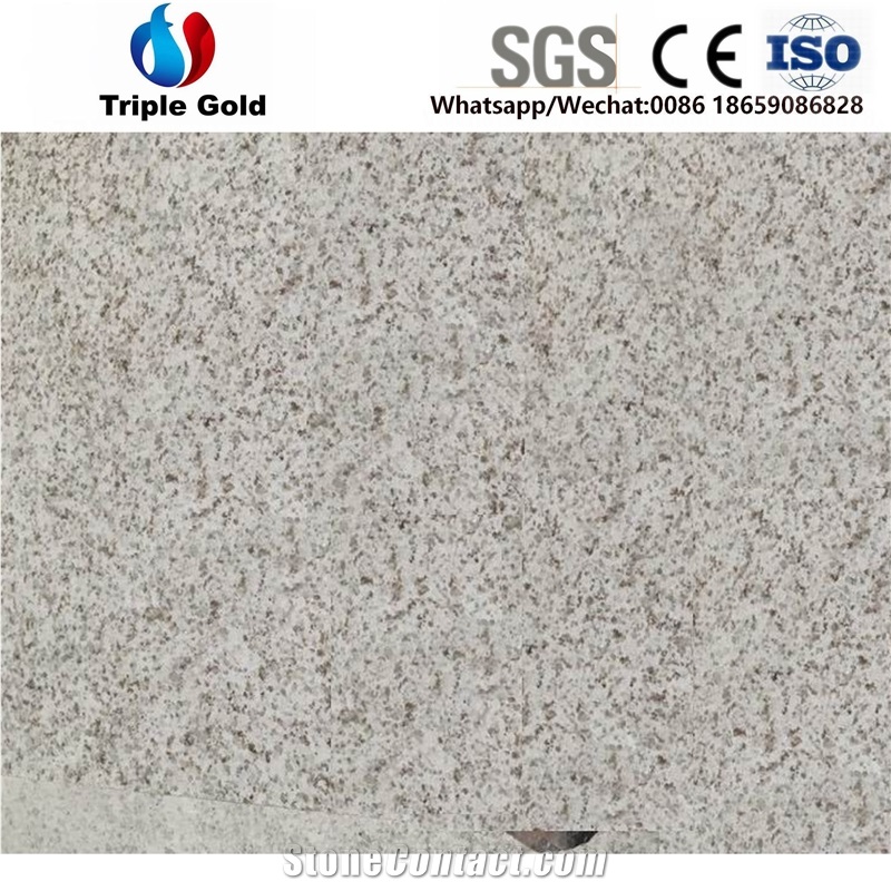 Pearl White Granite Zhenzhu G456 G629 G896 Slabs
