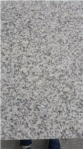 Grey Stone Granite and Marble G602 Pavement