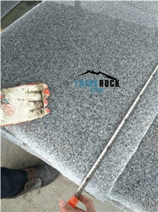 Hubei Sesame White G603 Granite W 60cm Middle Slab