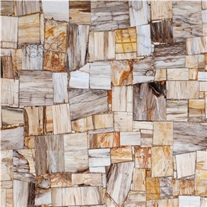 Petrified Wood Natural Agate Stone Wall Panel Tile