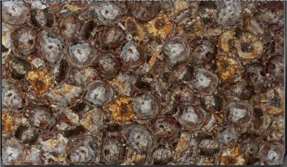 Petrified Wood Slab,Semi Precious Stone,Fossil
