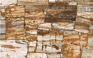 Polished Petrified Wood Semiprecious Stone Slabs