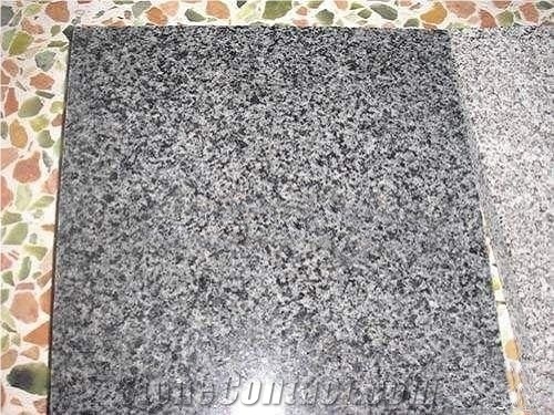 China Georgia Gray Granite Tile/Slab