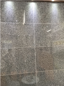 Bala Bai Grey Granite Slabs,Wall Floor Tiles