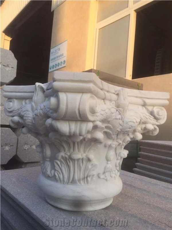 White Marble Capital Dolphin Customize Dimension