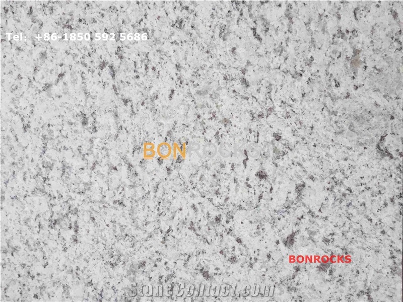 Andromeda Sri Lanka White Granite Flamed Tiles from China