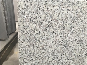 China Bianco Sardo Granite White Polished Slabs