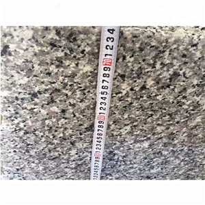 China Silver Gray Granite G641 Slabs for flooring
